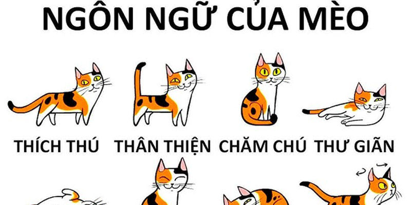 Hiểu ngôn ngữ cơ thể của thú cưng